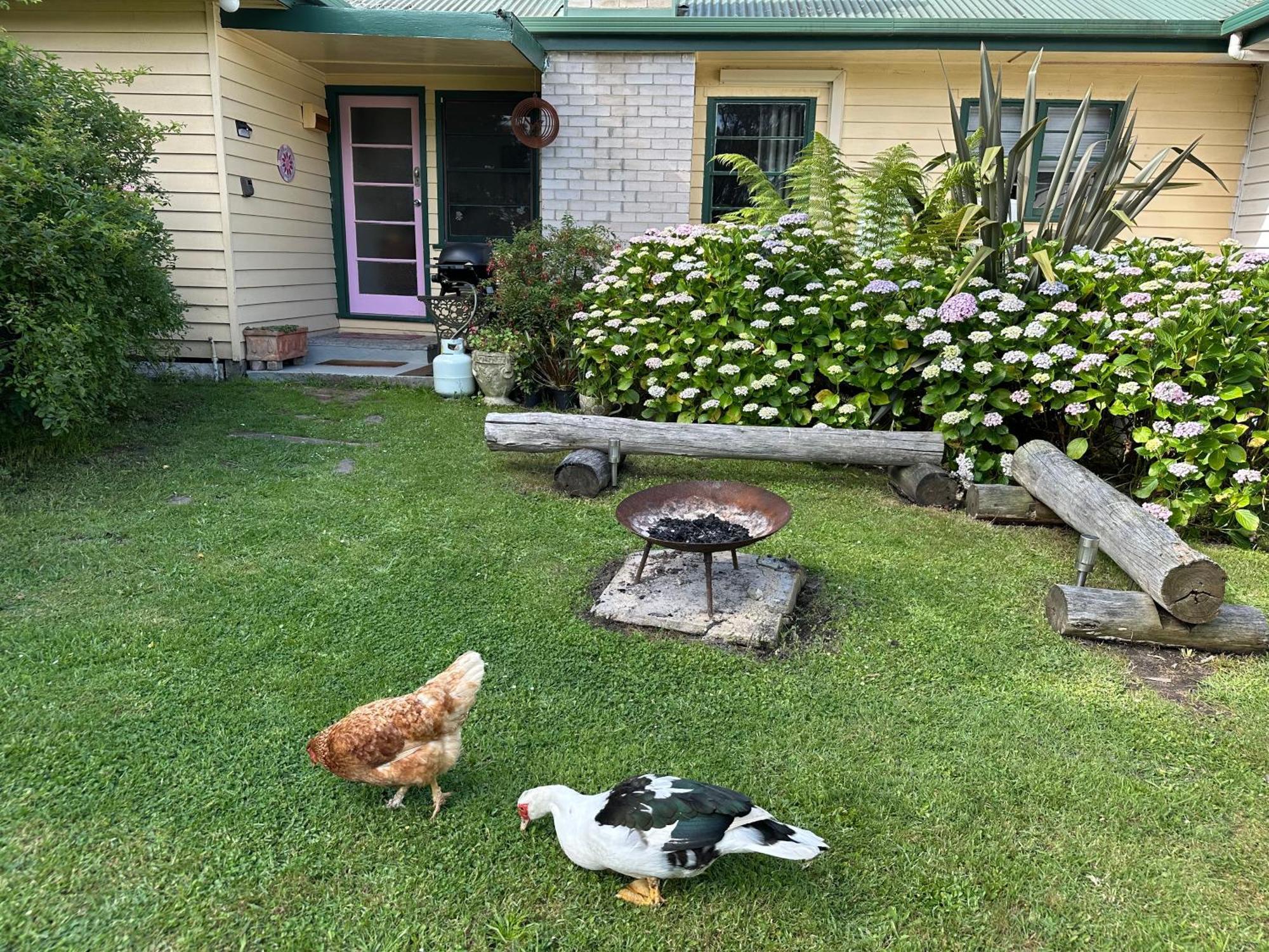 Bush Retreat Farm Stay 2 Bedroom Guest Suite Gelliondale Ngoại thất bức ảnh